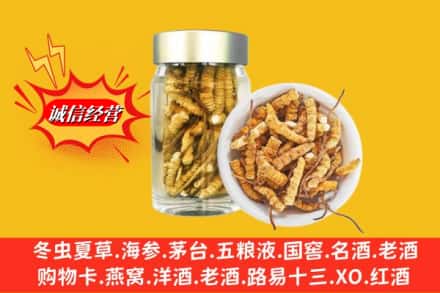 廊坊市大城回收散虫草